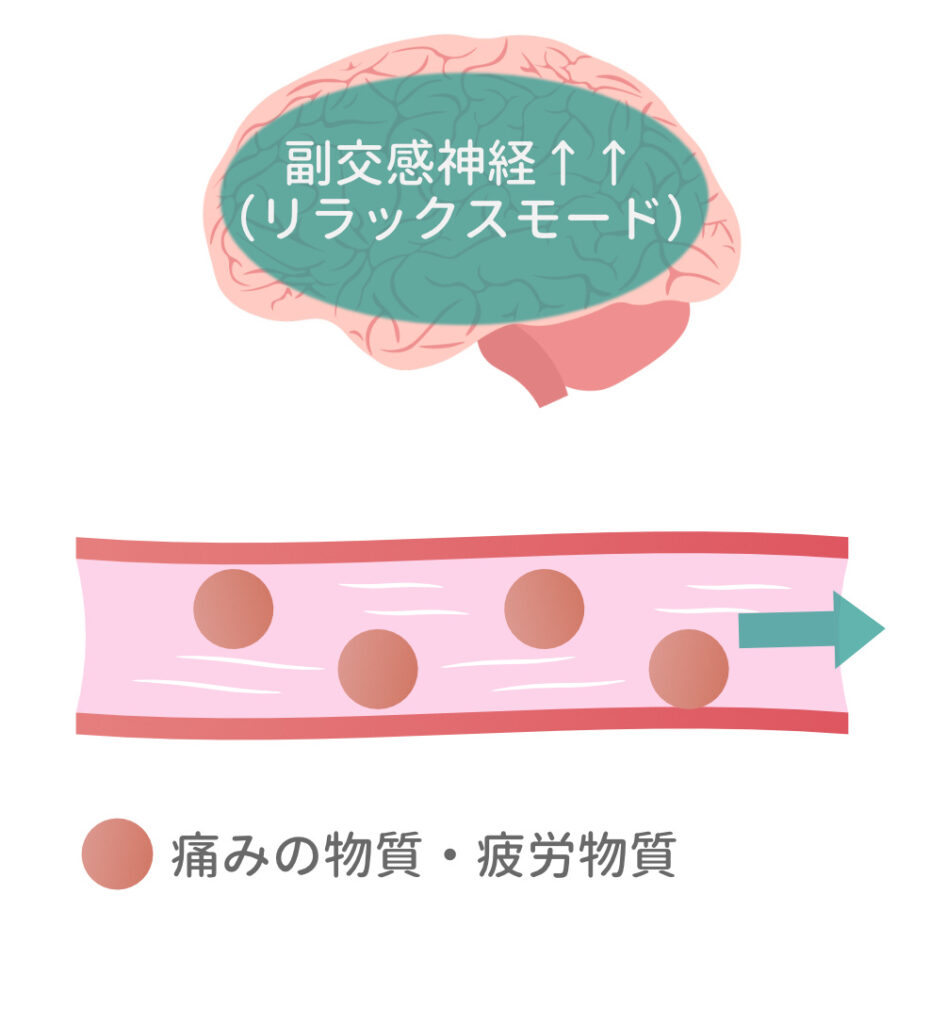 副交感神経が高まり痛みや疲労のもとが流れるイメージ図
