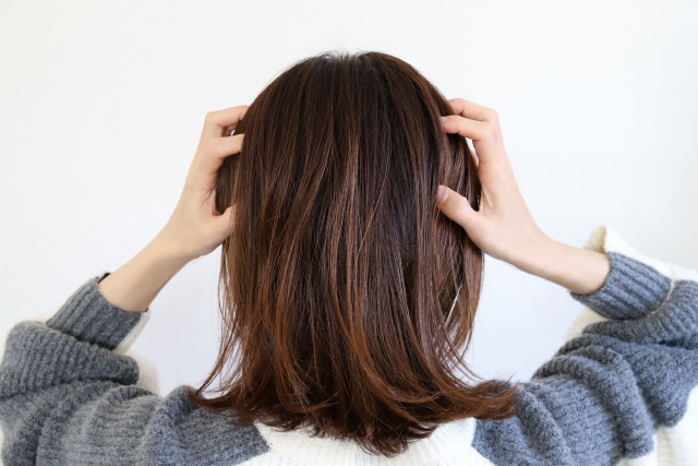 髪を触る女性の後ろ姿