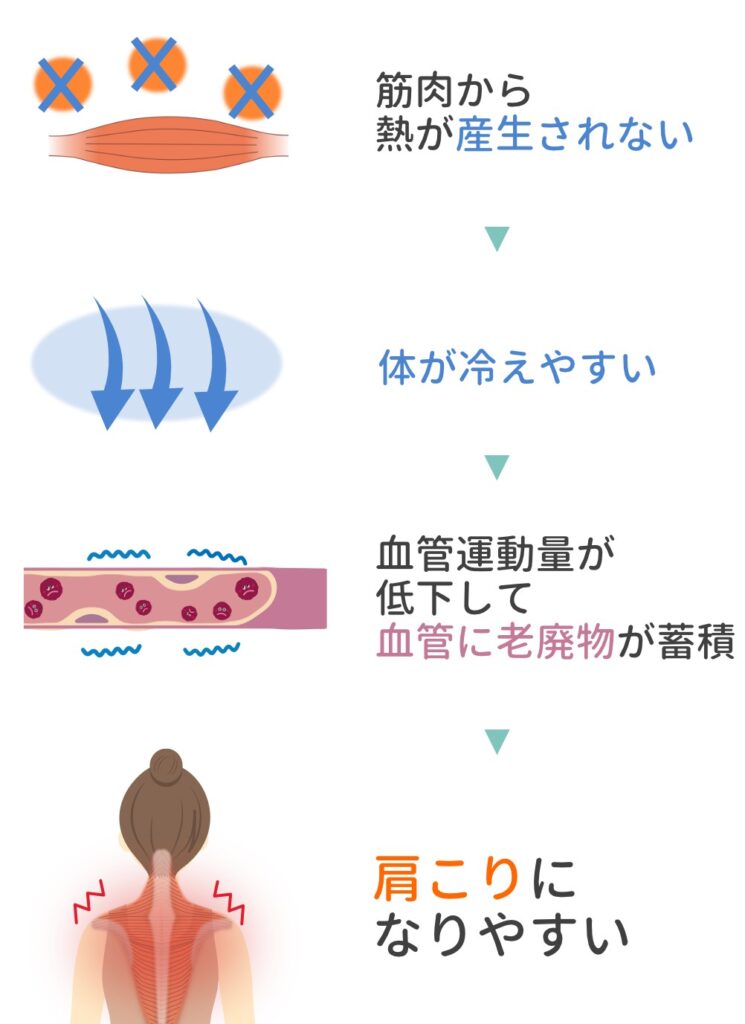 筋肉の熱生産低下から体が冷え血管に老廃物がたまり肩こりになる流れの図解